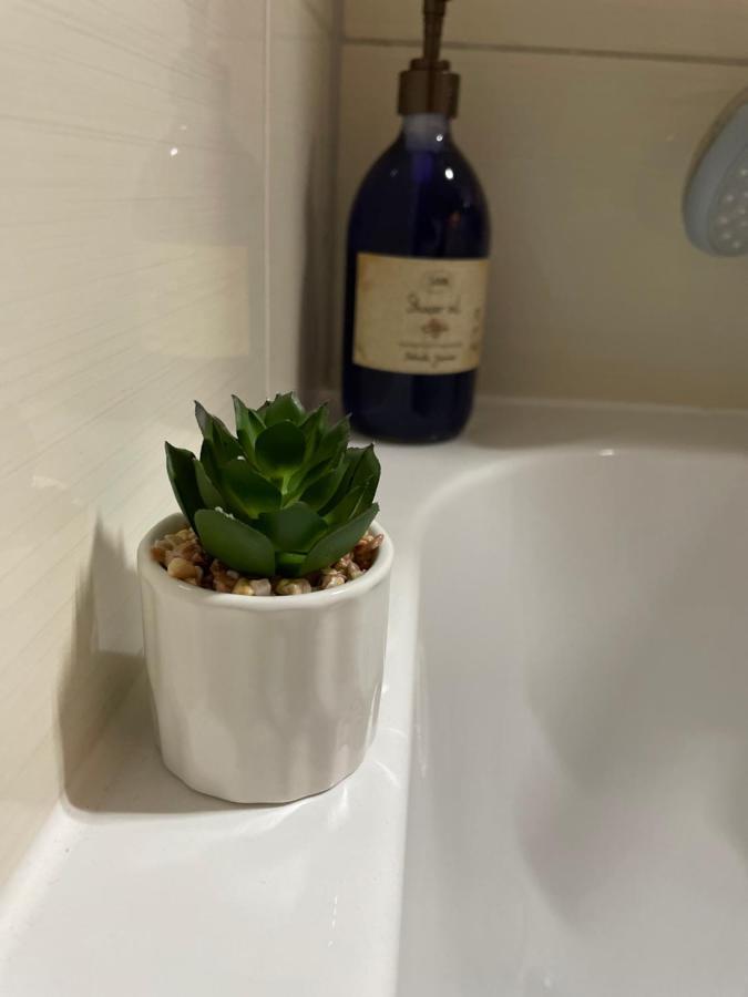Rai Residence 布拉索夫 外观 照片